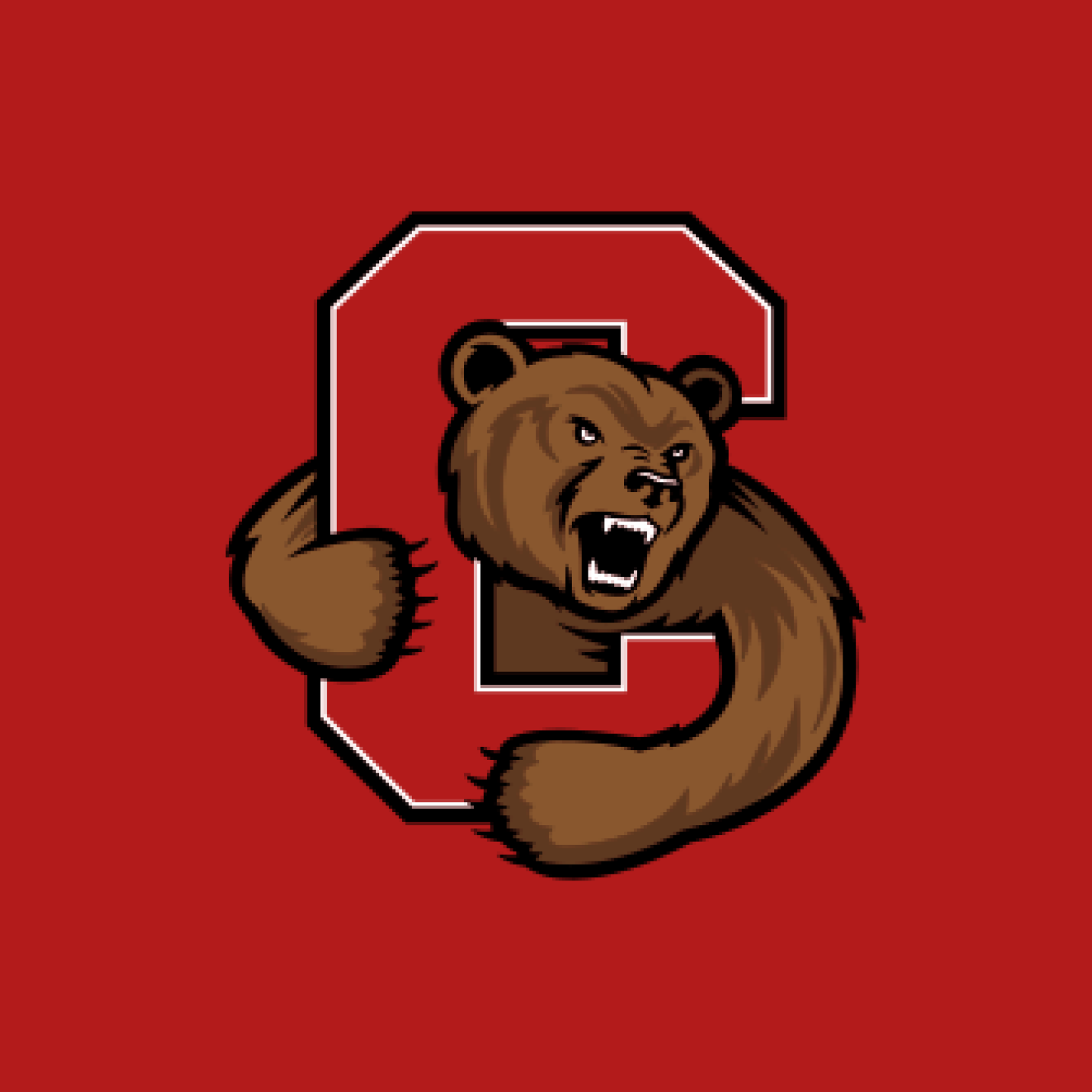Cornell Accepted Application with Essays (STEM Applicant)