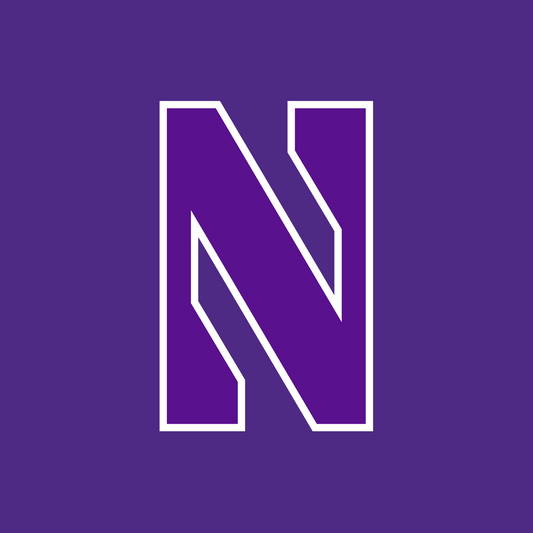 Northwestern Accepted Application with Personal Statements (English Major)