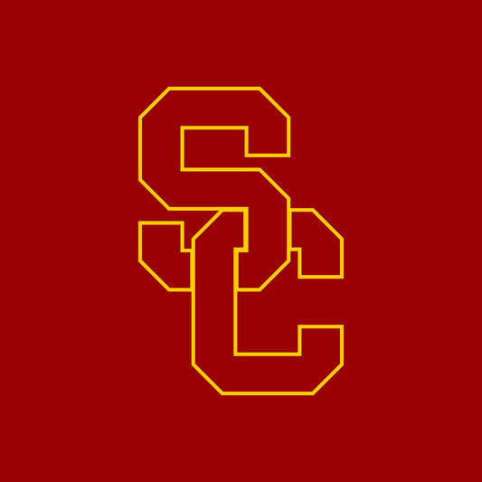 USC Accepted Application with Essays (Government Major)