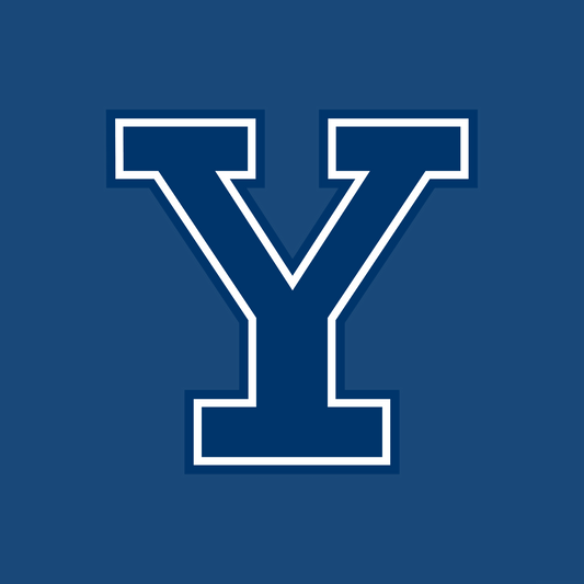 Yale Accepted Application with Commentary From Applicant (English)