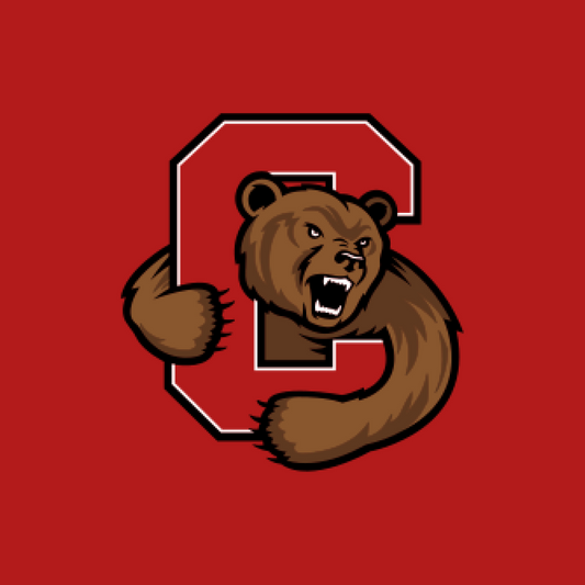 Cornell Accepted Application with Essays (Government Major)